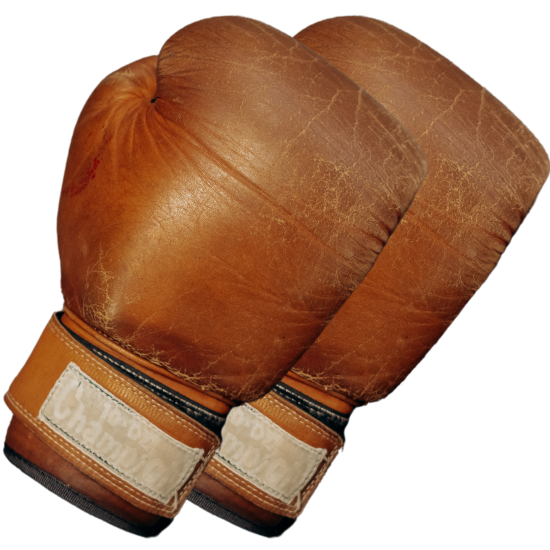 Boxhandschuhe Illustration